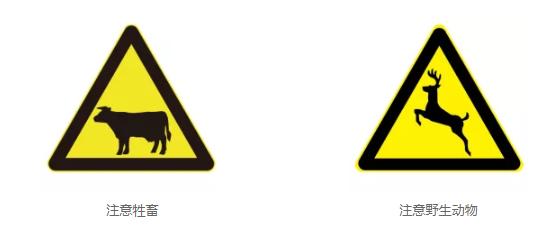 速度看！盘点15组易混淆交通标志，新老司机都中招